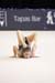 _SPL6272